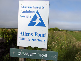 allens pond wildlife sanctuary