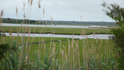 allens pond