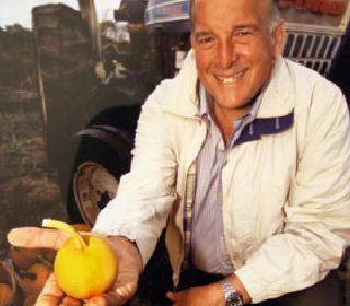 friendly fruit incsid wainer son