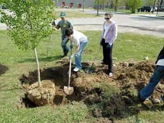 partners for a healthier community