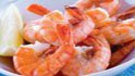 portugalia imports