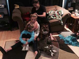 providence animal rescue league