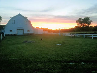 simcock farm