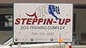 steppin up dog training