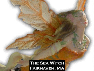 the sea witch