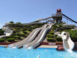 water wizz