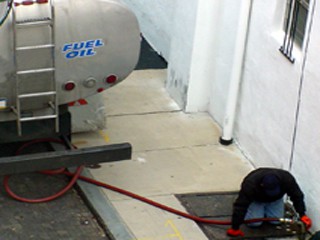 wild cat oil co