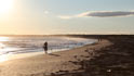 horseneck beach